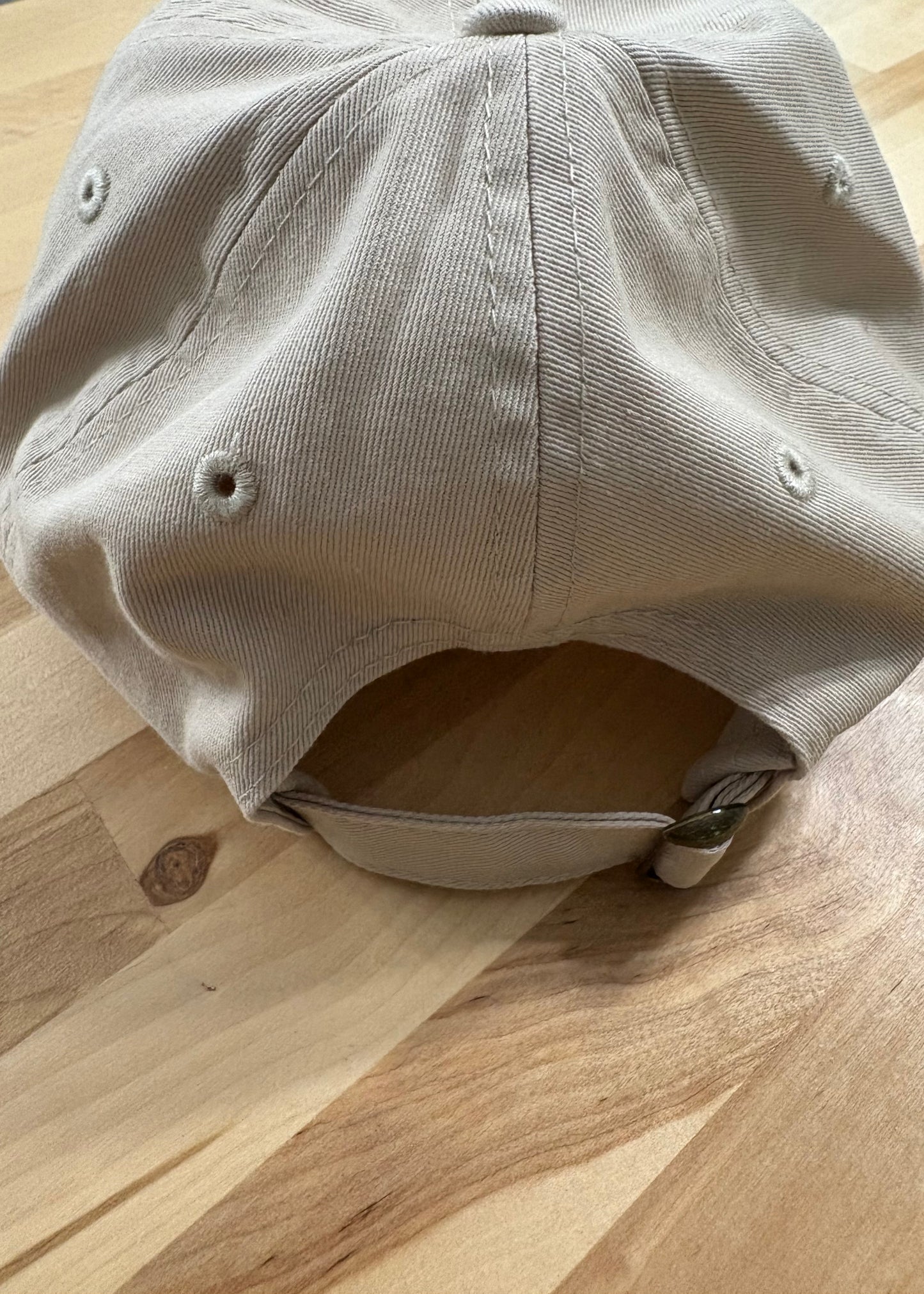 Cat knocking over plant embroidered on ran dad hat