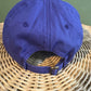 Swannanoa, NC purple dad hat